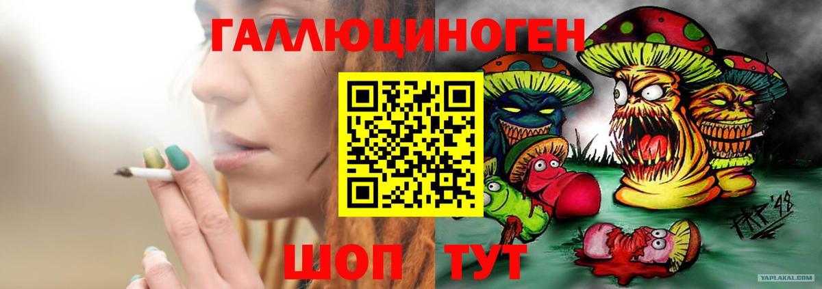 Галлюциногенные грибы Psilocybe  Вход с VPN  Обь 